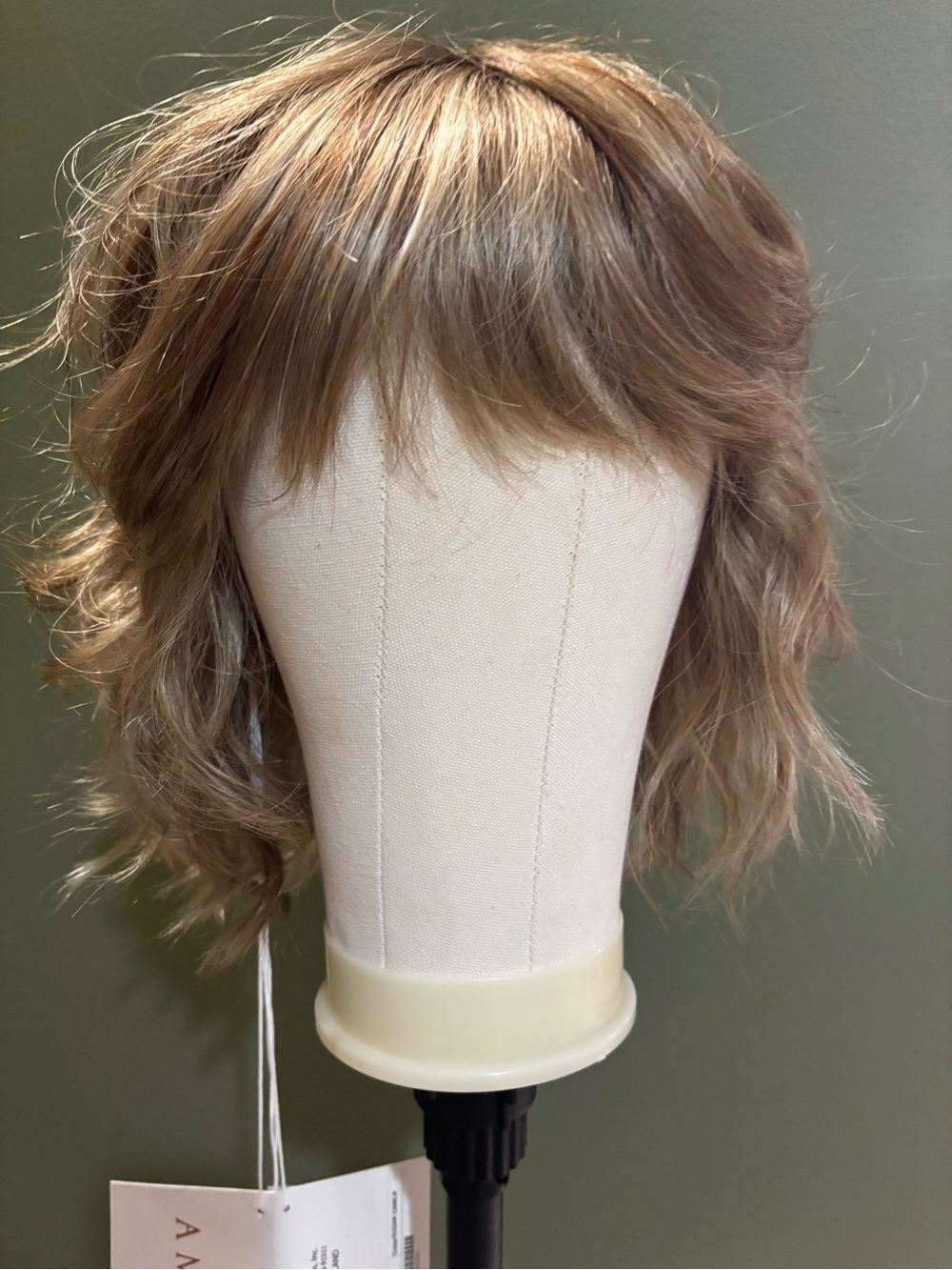 NWT Amore Braylen Wig - Sugar Cane R